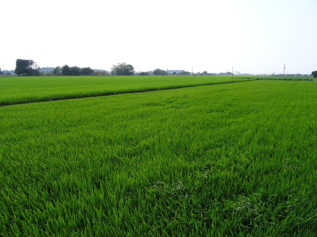 โฮอิน4 เกสต์เฮาส์ Xigang ภายนอก รูปภาพ